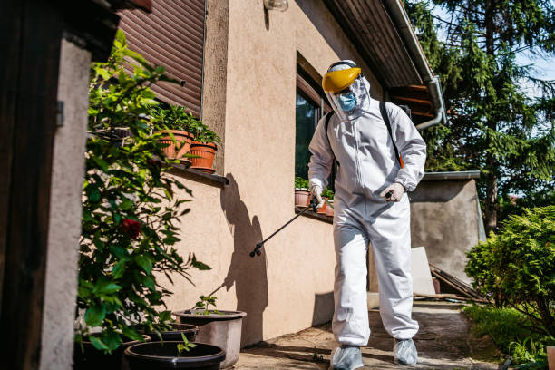 Best Spider Control Near Me  in Rye Brook, NY