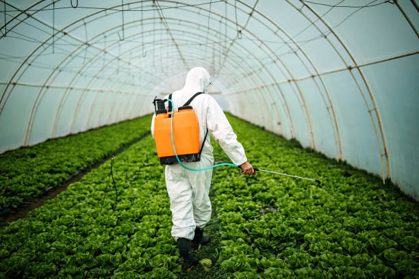 Pest Control Cost in Rye Brook, NY