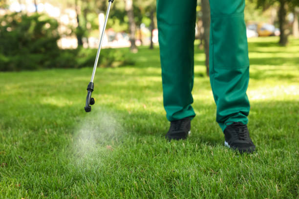 Best Local Pest Control Services  in Rye Brook, NY