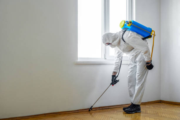 Best Residential Pest Control  in Rye Brook, NY