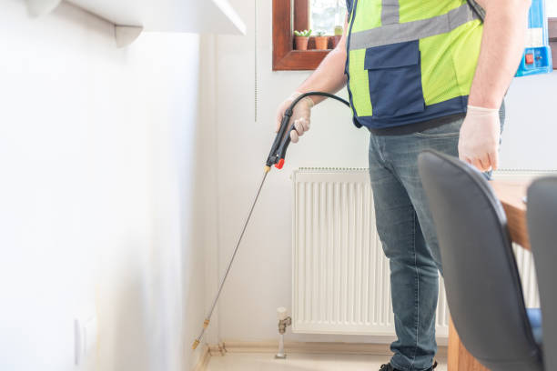 Best Ant Control Services  in Rye Brook, NY