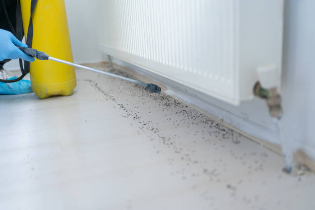 Best Pest Removal Services  in Rye Brook, NY