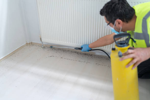 Best Cockroach Control Services  in Rye Brook, NY